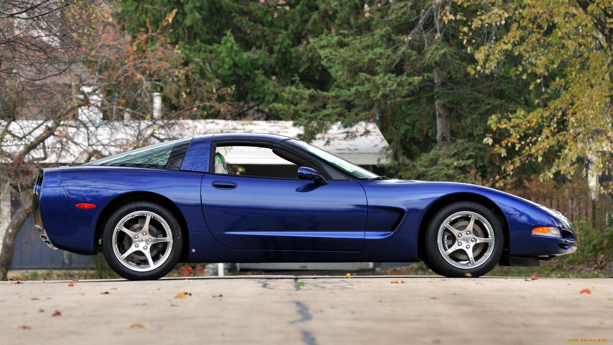 corvette, , , general, motors, 